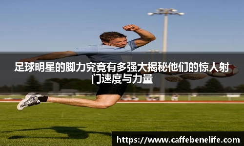 博鱼官方网站