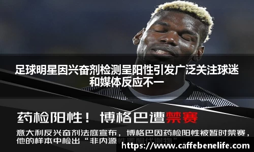 博鱼官方网站