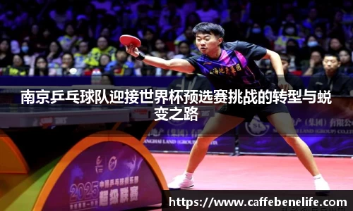南京乒乓球队迎接世界杯预选赛挑战的转型与蜕变之路