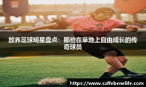 放养足球明星盘点：那些在草地上自由成长的传奇球员